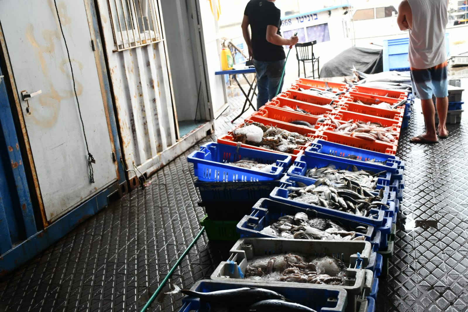 WhatsApp Image 2020-05-18 at 2.29.39 AM (2).jpeg.jpeg